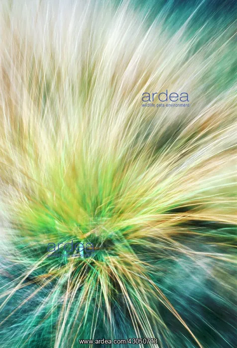 : Abstract : Abstract