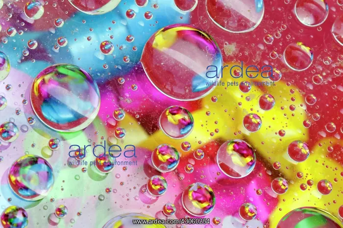: Abstract of bubbles of color : Abstract of bubbles of color
