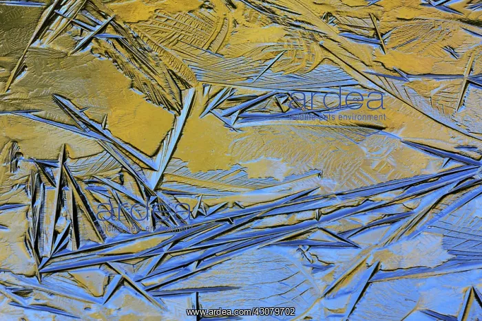 : Abstract ice patterns : Abstract ice patterns
