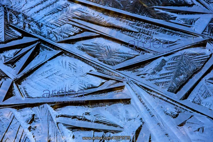 : Abstract ice patterns : Abstract ice patterns