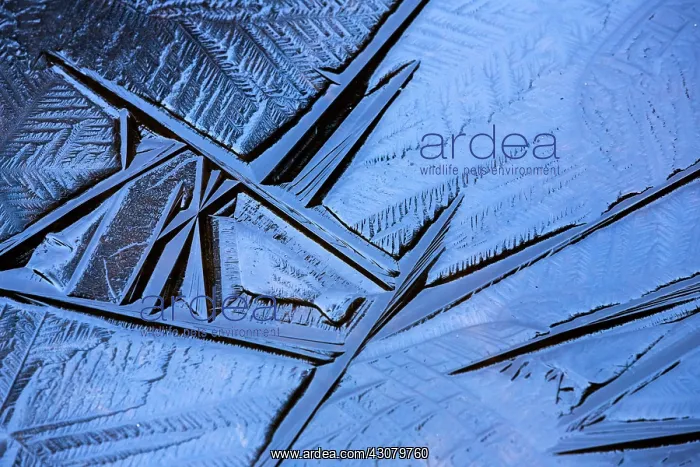 : Abstract ice patterns : Abstract ice patterns
