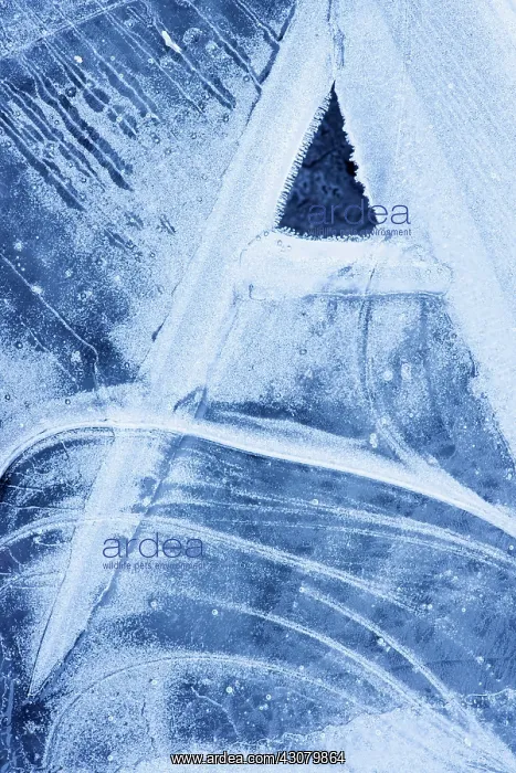 : Abstract ice patterns : Abstract ice patterns