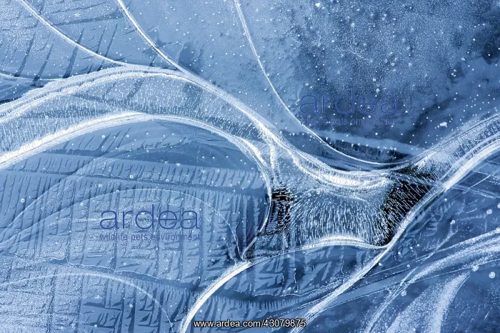 : Abstract ice patterns : Abstract ice patterns