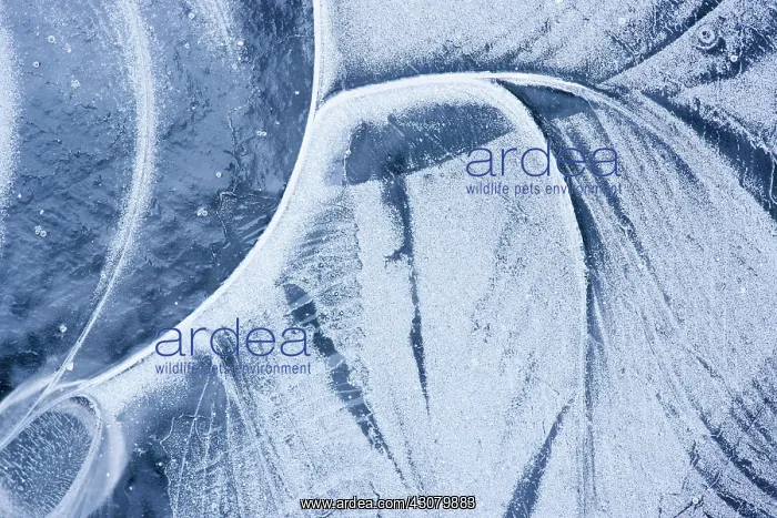 : Abstract ice patterns : Abstract ice patterns