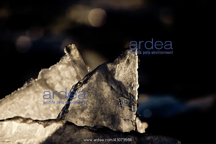 : Abstract ice patterns : Abstract ice patterns
