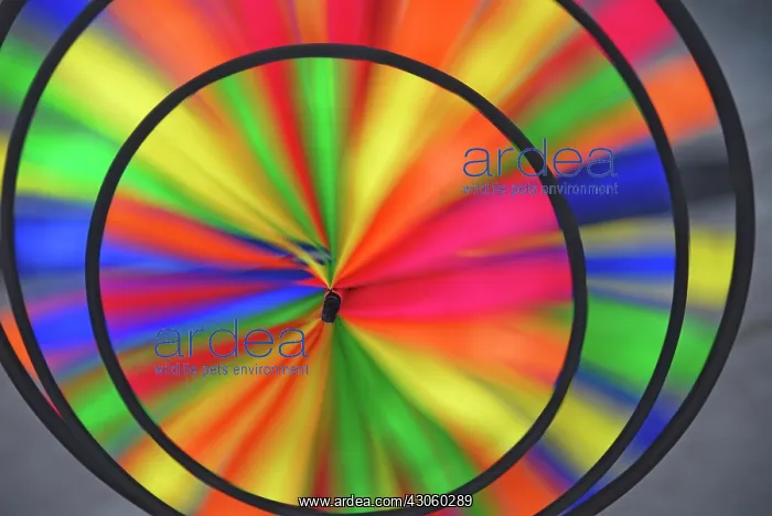 : Abstract pattern formed by spinning whirligig : Abstract pattern formed by spinning whirligig