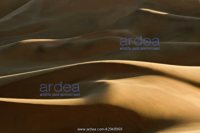 : Abstract patterns of dunes in late afternoon light : Abstract patterns of dunes in late afternoon light