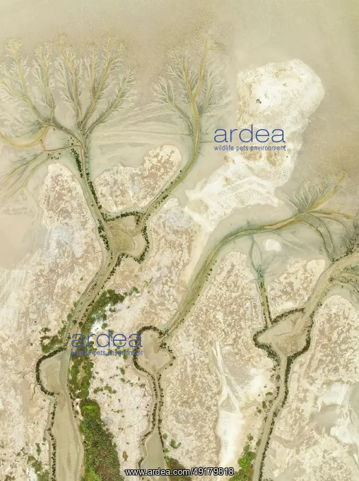 : Abstract patterns at low tide in the marshland of the Nature Reserve La Breña y Marismas del Barbate : Abstract patterns at low tide in the marshland of the Nature Reserve La Breña y Marismas del Barbate
