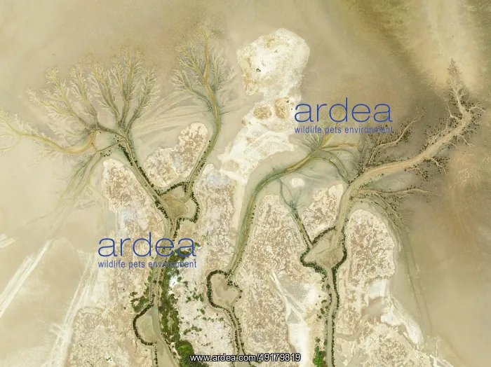 : Abstract patterns at low tide in the marshland of the Nature Reserve La Breña y Marismas del Barbate : Abstract patterns at low tide in the marshland of the Nature Reserve La Breña y Marismas del Barbate