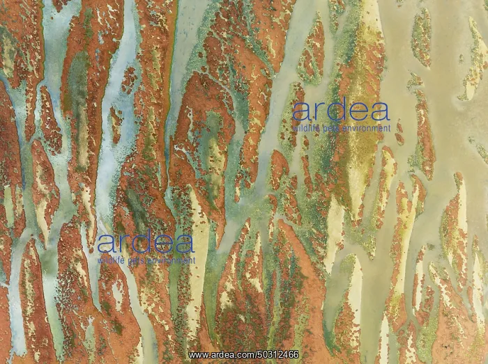 : Abstract patterns at low tide in the marshland of the Walvis Bay lagoon : Abstract patterns at low tide in the marshland of the Walvis Bay lagoon