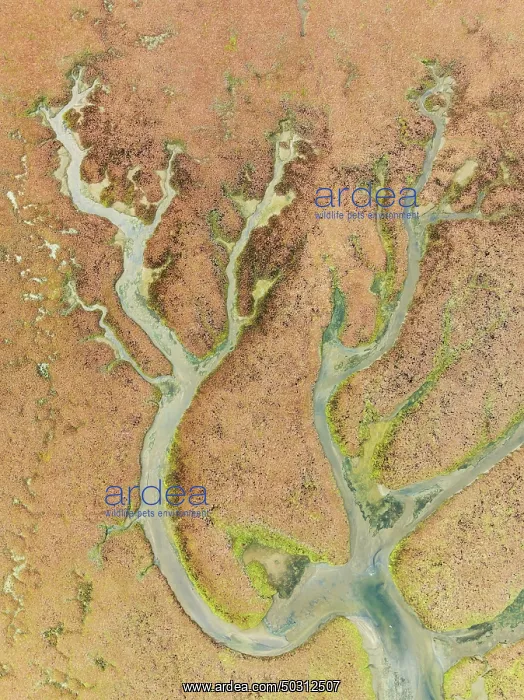 : Abstract patterns at low tide in the marshland of the Walvis Bay lagoon : Abstract patterns at low tide in the marshland of the Walvis Bay lagoon