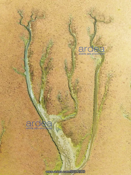 : Abstract patterns at low tide in the marshland of the Walvis Bay lagoon : Abstract patterns at low tide in the marshland of the Walvis Bay lagoon