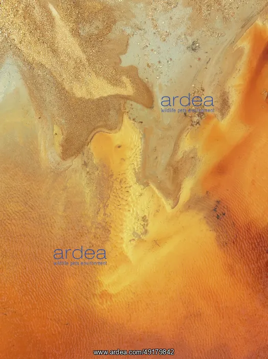 : Abstract patterns in a pool in the mineral-rich area of the Rio Tinto mines : Abstract patterns in a pool in the mineral-rich area of the Rio Tinto mines