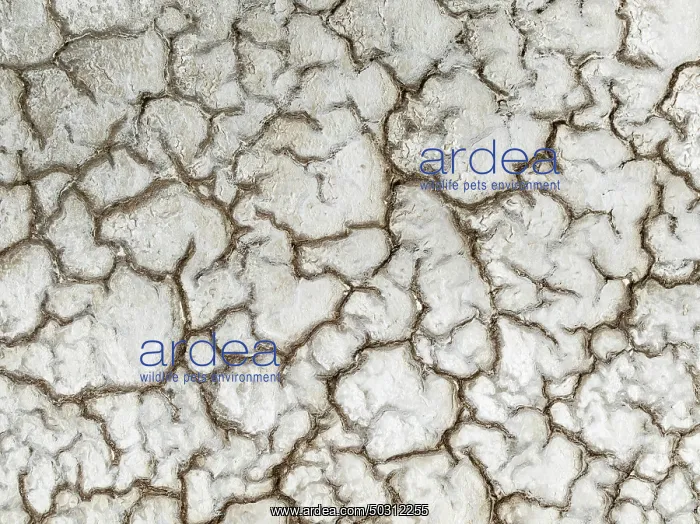 : Abstract patterns of saline deposits at the salt works of Walvis Bay : Abstract patterns of saline deposits at the salt works of Walvis Bay