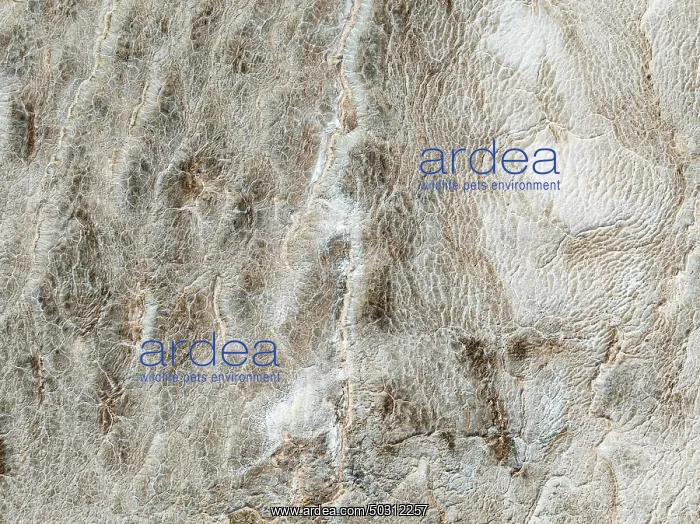 : Abstract patterns of saline deposits at the salt works of Walvis Bay : Abstract patterns of saline deposits at the salt works of Walvis Bay