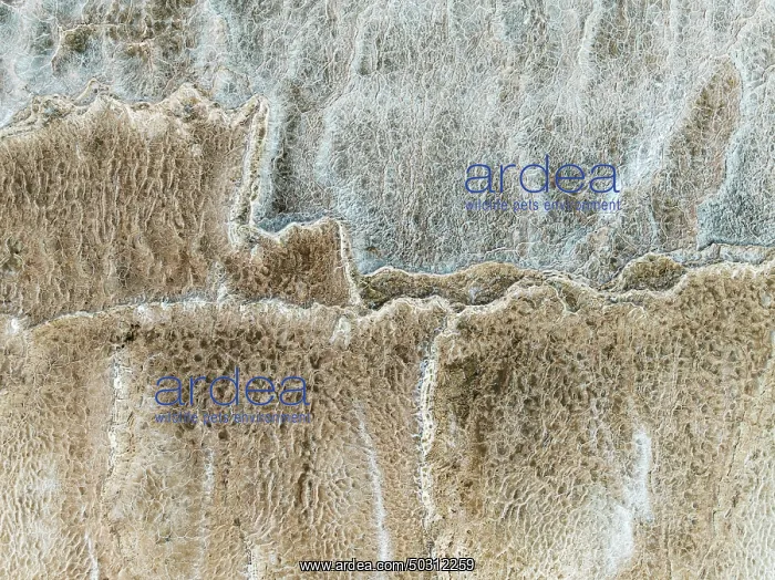 : Abstract patterns of saline deposits at the salt works of Walvis Bay : Abstract patterns of saline deposits at the salt works of Walvis Bay