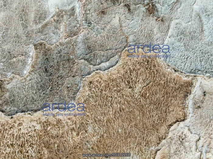 : Abstract patterns of saline deposits at the salt works of Walvis Bay : Abstract patterns of saline deposits at the salt works of Walvis Bay