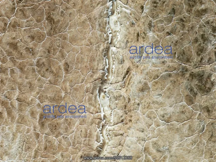 : Abstract patterns of saline deposits at the salt works of Walvis Bay : Abstract patterns of saline deposits at the salt works of Walvis Bay