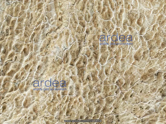 : Abstract patterns of saline deposits at the salt works of Walvis Bay : Abstract patterns of saline deposits at the salt works of Walvis Bay