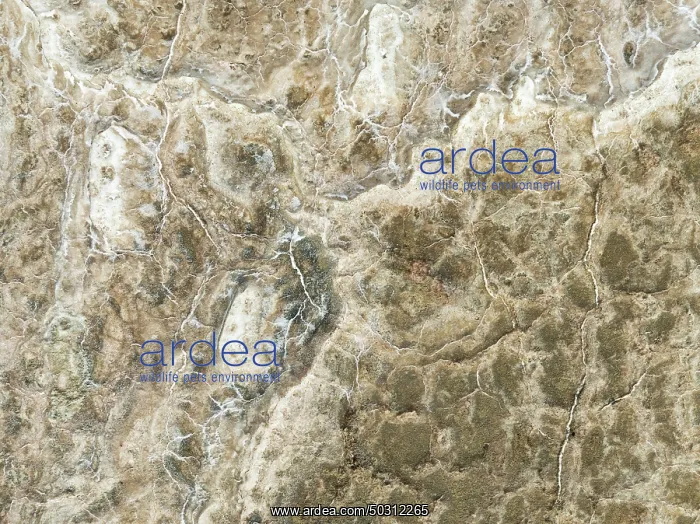 : Abstract patterns of saline deposits at the salt works of Walvis Bay : Abstract patterns of saline deposits at the salt works of Walvis Bay