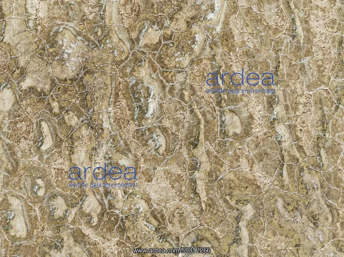 : Abstract patterns of saline deposits at the salt works of Walvis Bay : Abstract patterns of saline deposits at the salt works of Walvis Bay