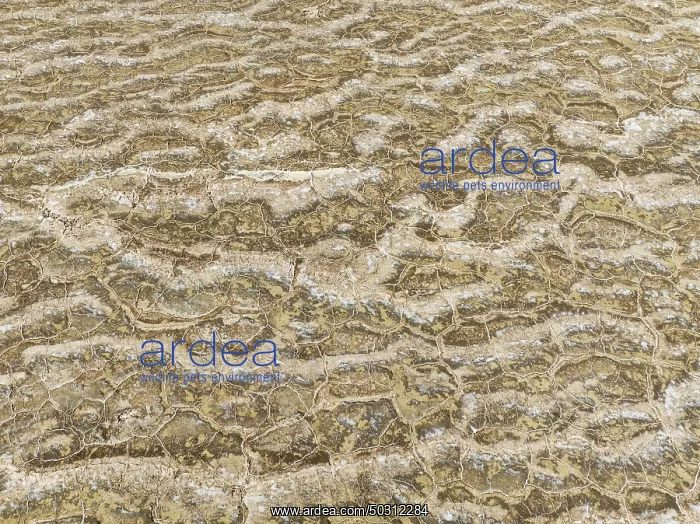  : Abstract patterns of saline deposits at the salt works of Walvis Bay