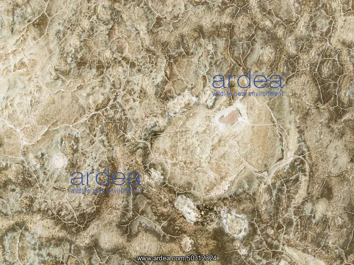 : Abstract patterns of saline deposits at the salt works of Walvis Bay : Abstract patterns of saline deposits at the salt works of Walvis Bay