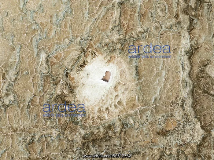 : Abstract patterns of saline deposits at the salt works of Walvis Bay : Abstract patterns of saline deposits at the salt works of Walvis Bay