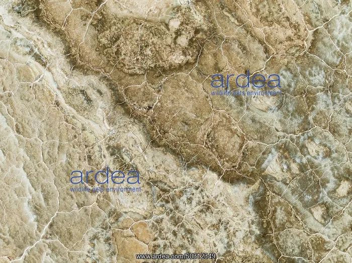 : Abstract patterns of saline deposits at the salt works of Walvis Bay : Abstract patterns of saline deposits at the salt works of Walvis Bay