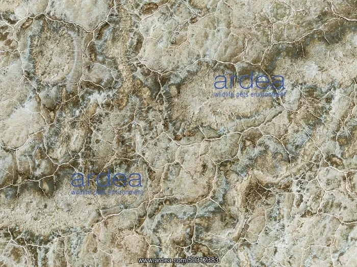 : Abstract patterns of saline deposits at the salt works of Walvis Bay : Abstract patterns of saline deposits at the salt works of Walvis Bay