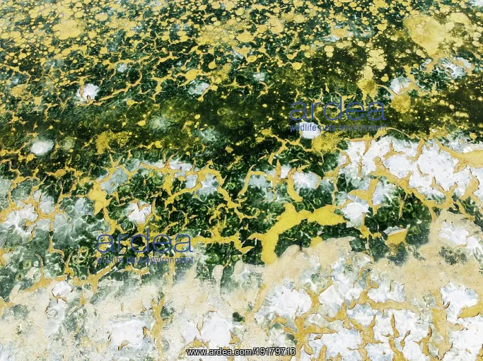 : Abstract patterns in the shallow water of a saline pond in the marshland of the Bahía de Cádiz Nature Reserve : Abstract patterns in the shallow water of a saline pond in the marshland of the Bahía de Cádiz Nature Reserve