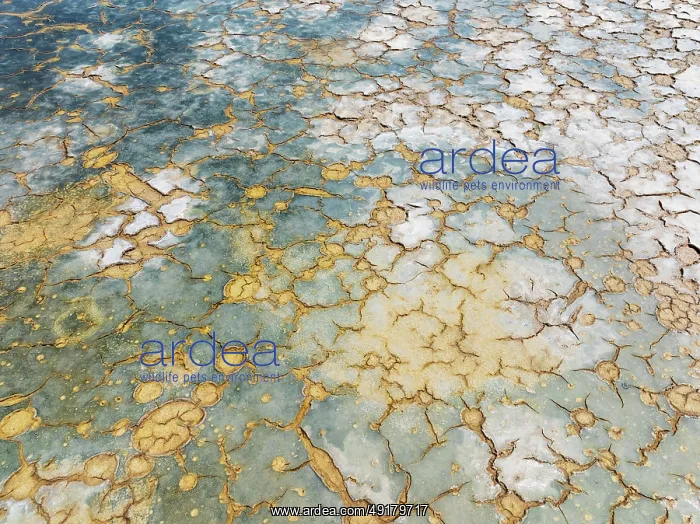 : Abstract patterns in the shallow water of a saline pond in the marshland of the Bahía de Cádiz Nature Reserve : Abstract patterns in the shallow water of a saline pond in the marshland of the Bahía de Cádiz Nature Reserve