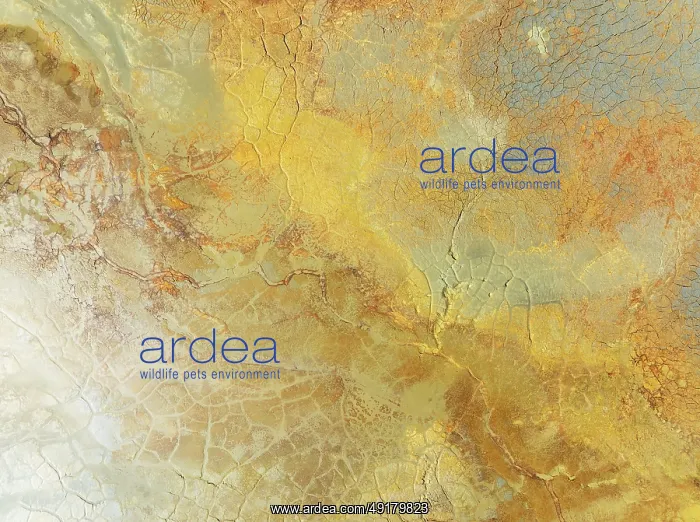 : Abstract patterns in a waste pond in the mineral-rich area of the Rio Tinto mines : Abstract patterns in a waste pond in the mineral-rich area of the Rio Tinto mines