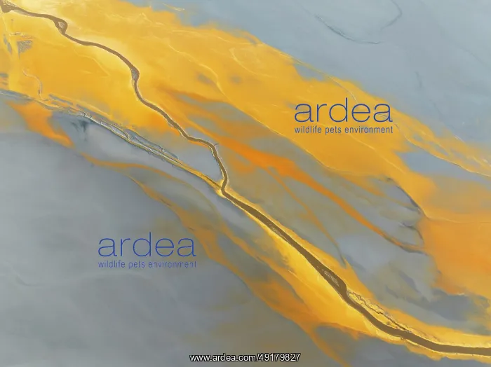 : Abstract patterns in a waste pond in the mineral-rich area of the Rio Tinto mines : Abstract patterns in a waste pond in the mineral-rich area of the Rio Tinto mines