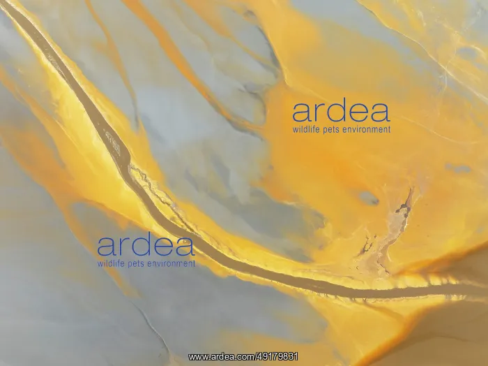 : Abstract patterns in a waste pond in the mineral-rich area of the Rio Tinto mines : Abstract patterns in a waste pond in the mineral-rich area of the Rio Tinto mines