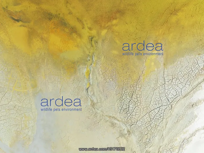 : Abstract patterns in a waste pond in the mineral-rich area of the Rio Tinto mines : Abstract patterns in a waste pond in the mineral-rich area of the Rio Tinto mines