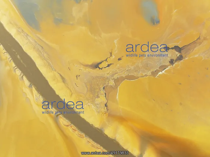 : Abstract patterns in a waste pond in the mineral-rich area of the Rio Tinto mines : Abstract patterns in a waste pond in the mineral-rich area of the Rio Tinto mines