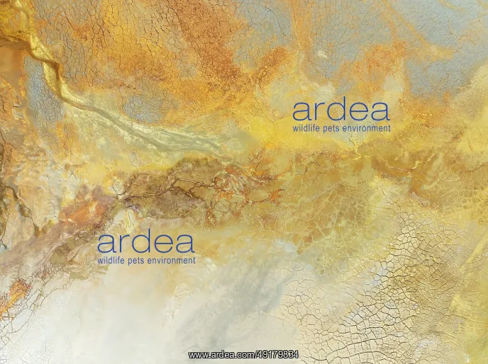 : Abstract patterns in a waste pond in the mineral-rich area of the Rio Tinto mines : Abstract patterns in a waste pond in the mineral-rich area of the Rio Tinto mines