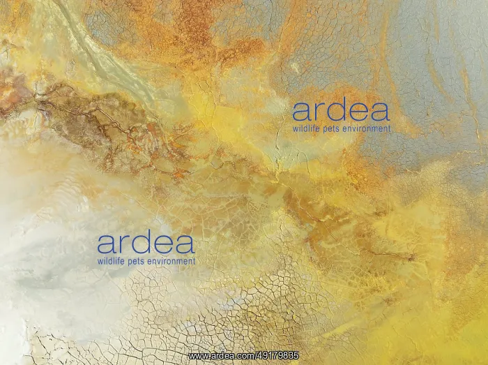 : Abstract patterns in a waste pond in the mineral-rich area of the Rio Tinto mines : Abstract patterns in a waste pond in the mineral-rich area of the Rio Tinto mines