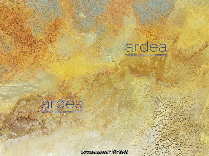 : Abstract patterns in a waste pond in the mineral-rich area of the Rio Tinto mines : Abstract patterns in a waste pond in the mineral-rich area of the Rio Tinto mines