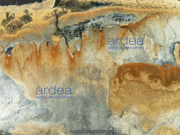 : Abstract saline patterns at the edge of the Walvis Bay salt works : Abstract saline patterns at the edge of the Walvis Bay salt works