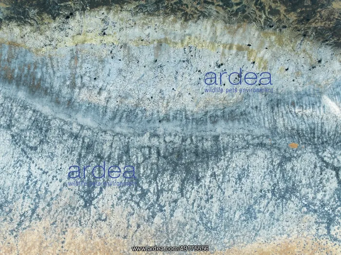  : Abstract saline patterns at the edge of the Walvis Bay salt works