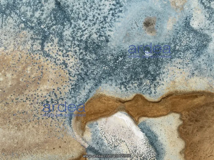 : Abstract saline patterns at the edge of the Walvis Bay salt works : Abstract saline patterns at the edge of the Walvis Bay salt works