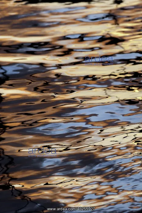 : Abstract sunrise reflection on water, Havana : Abstract sunrise reflection on water, Havana