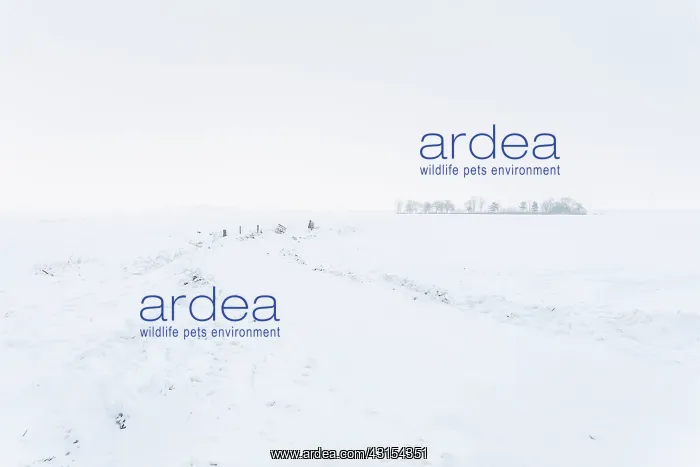 : Abstract Winterlandscape with snow covered track : Abstract Winterlandscape with snow covered track