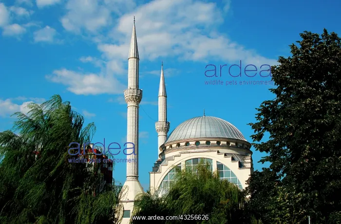 : Abu Bakr Mosque. Shkodra, Albania : Abu Bakr Mosque. Shkodra, Albania
