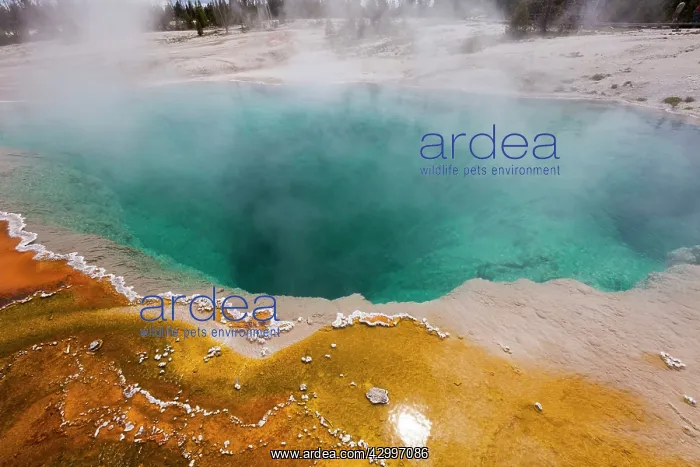  : Abyss Pool Hot Spring - at West Thumb Geyser Basin