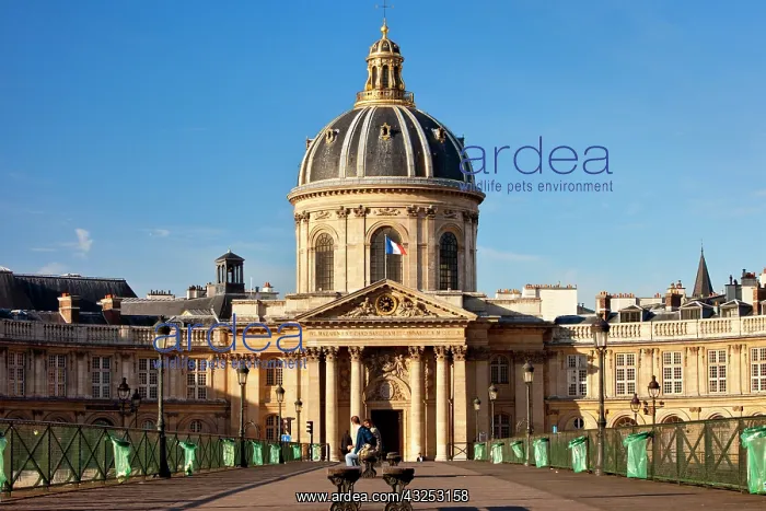 : Academie Francaise along River Seine, Paris : Academie Francaise along River Seine, Paris
