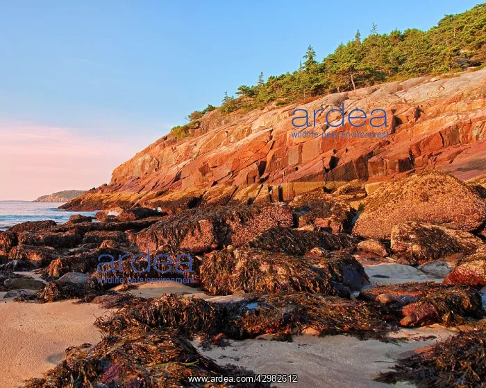 : Acadia National Park : Acadia National Park