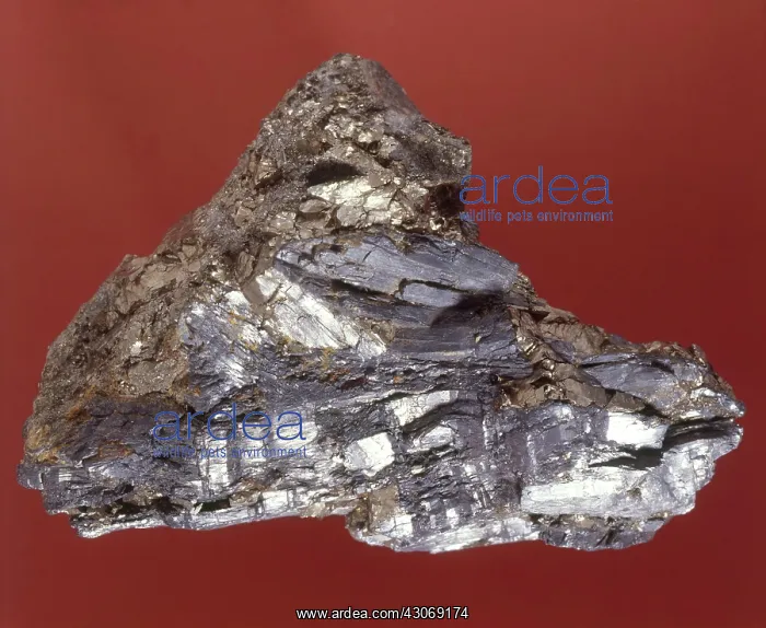 : Acanthite, or Argentite : Acanthite, or Argentite